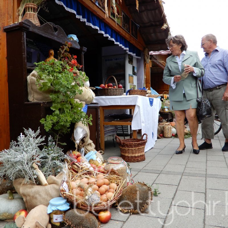 Helyi Értékek Startja 17